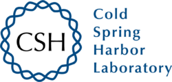 CSH logo