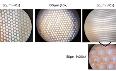 micro-scaffold under microscope
